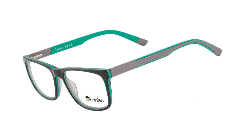 оправа BANISS BS8067 C03