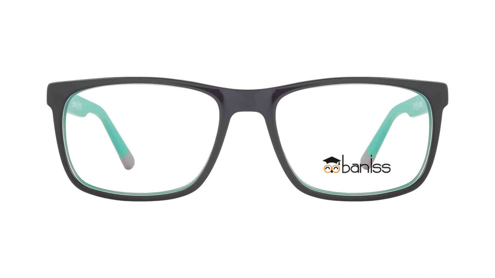 оправа BANISS BS8067 C03
