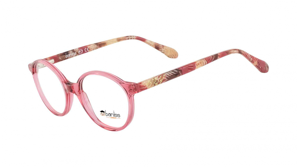 оправа BANISS BSJ5141 C01