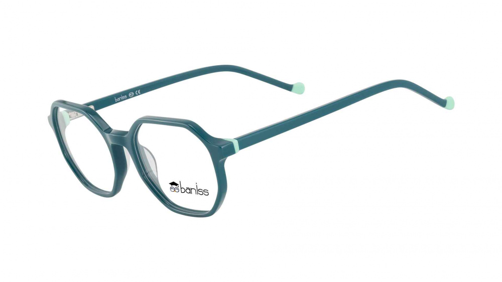 оправа BANISS BS7106 C02