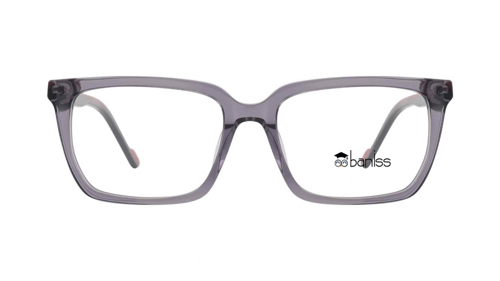 оправа BANISS BS8077 C02
