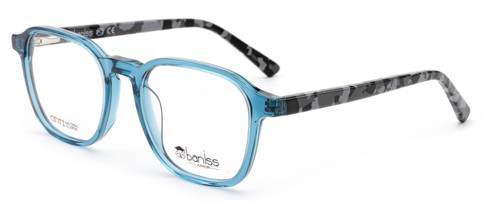 оправа BANISS BSJ6087 C02