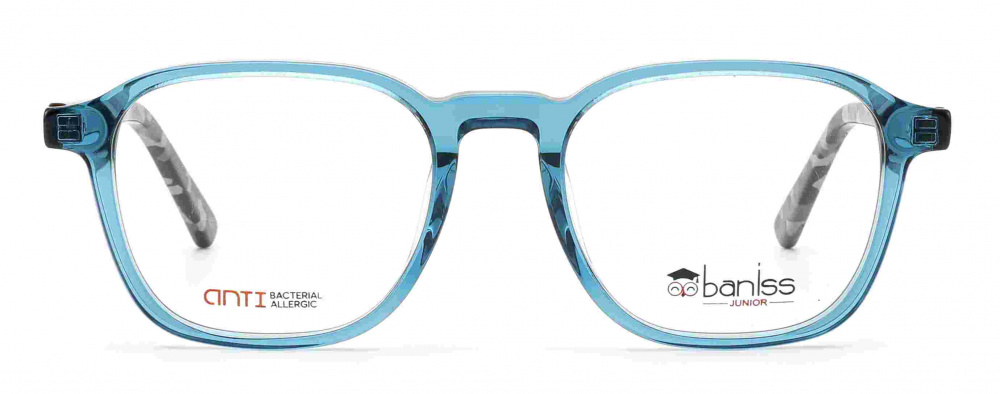 оправа BANISS BSJ6087 C02