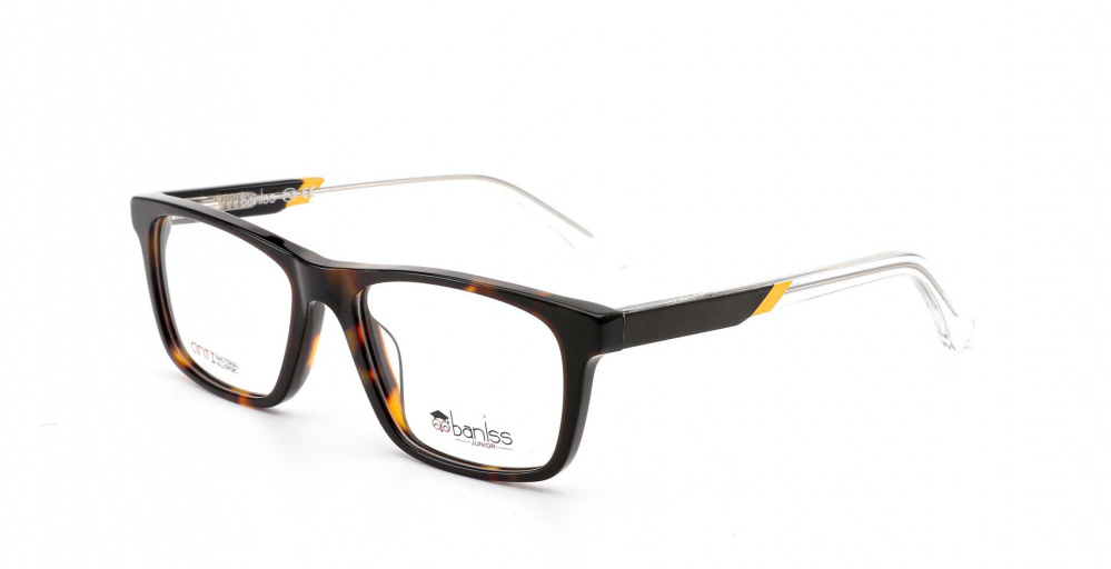 оправа BANISS BSJ6084 C02