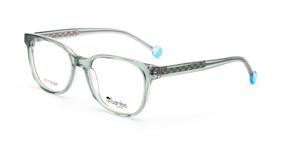 оправа BANISS BSJ6846 C01