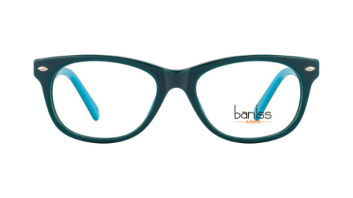 оправа BANISS BSJ6060 C03