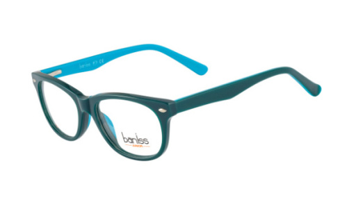 оправа BANISS BSJ6060 C03