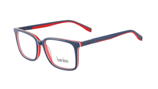 оправа BANISS BS8040 C03