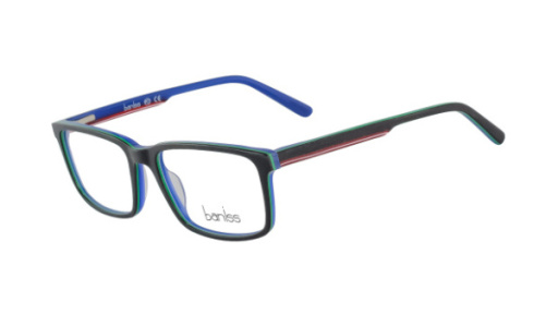 оправа BANISS BS8029 C03