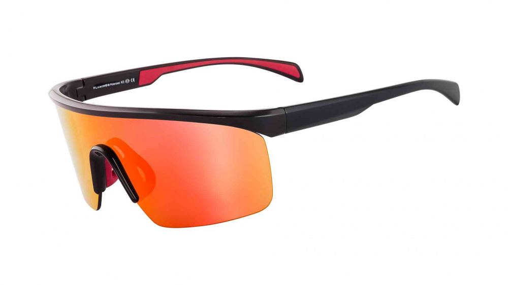 очки FLAMINGO F9006 C01