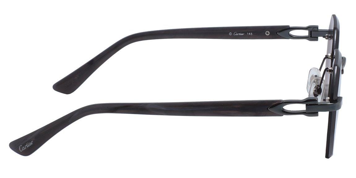 очки Cartier 0439S 004