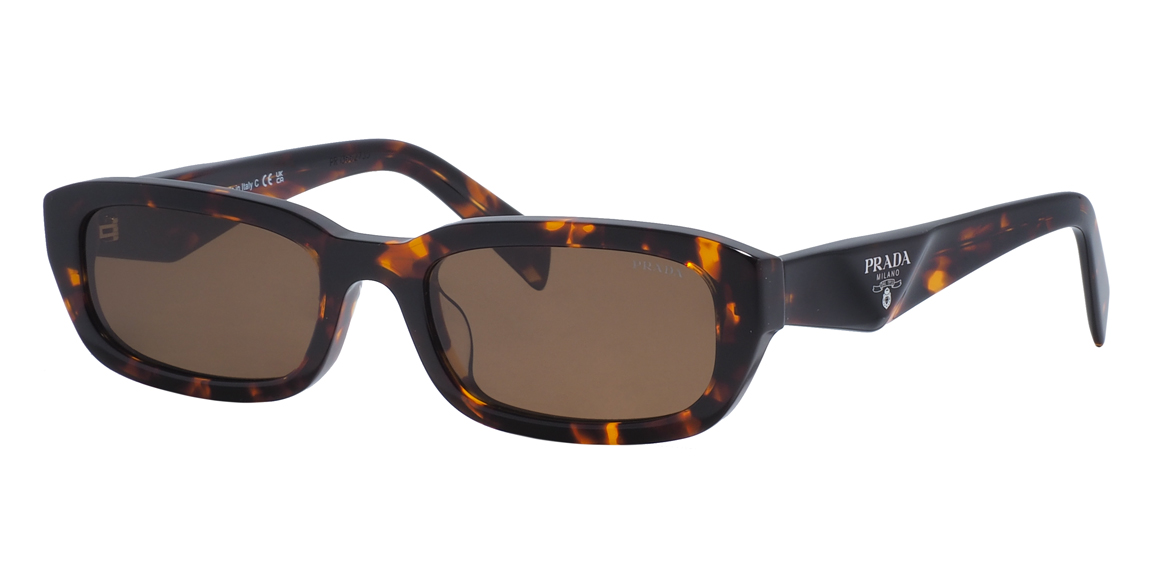 очки Prada B06S 17N60B