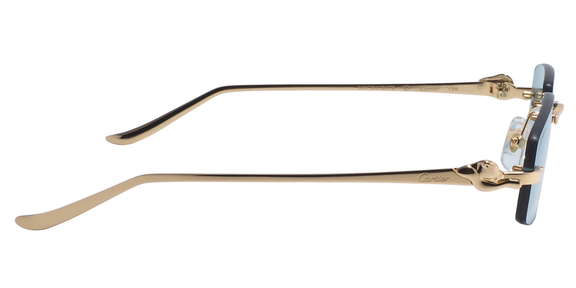очки Cartier 0505S C6