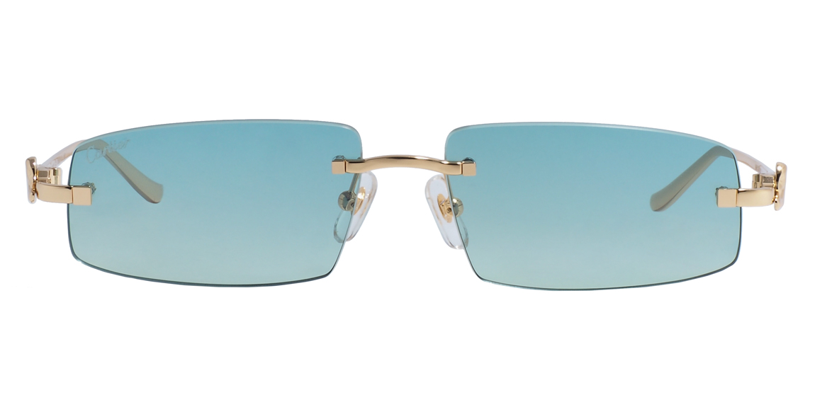 очки Cartier 0505S C6