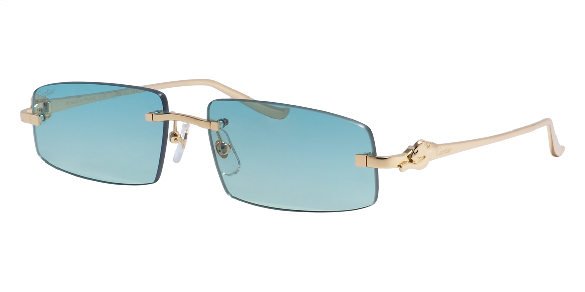 очки Cartier 0505S C6