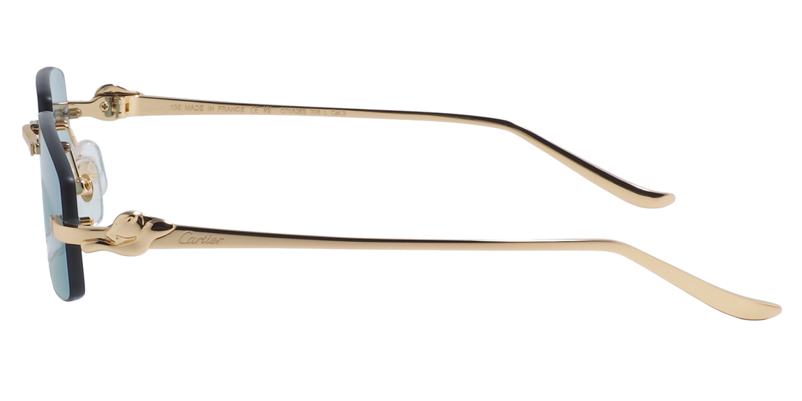 очки Cartier 0505S C6