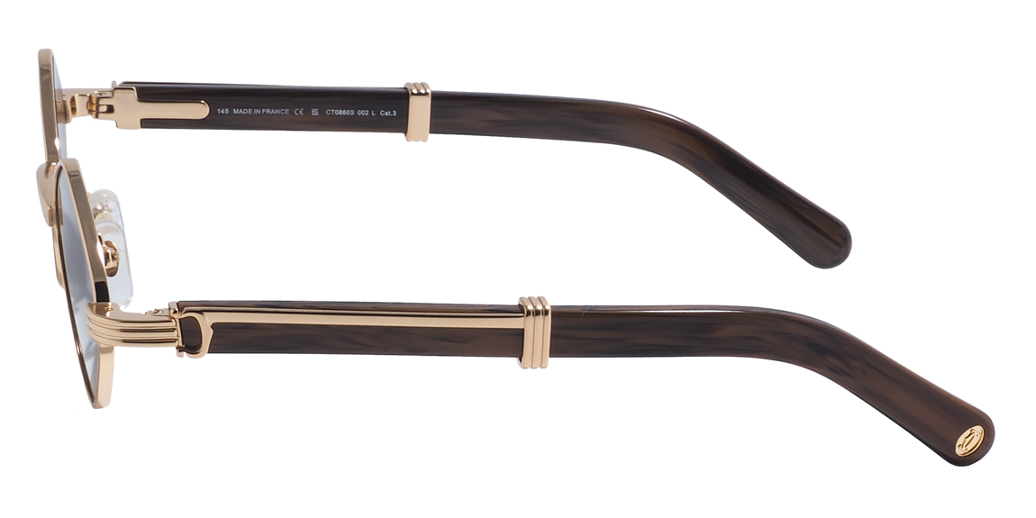 очки Cartier 0866S C2